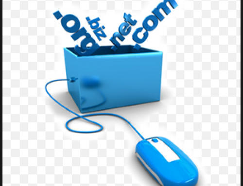 NZ domain names | What you need to know?