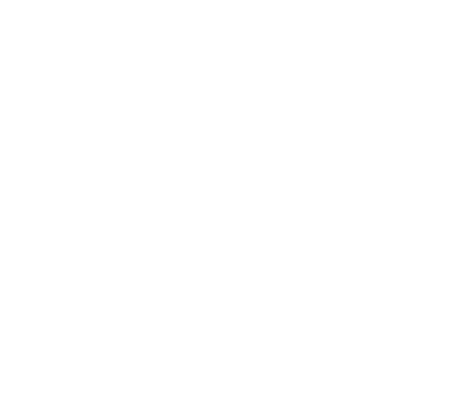 A SEO Company in Auckland New Zealand for SEO and Digital marketing