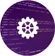 Website Development web development