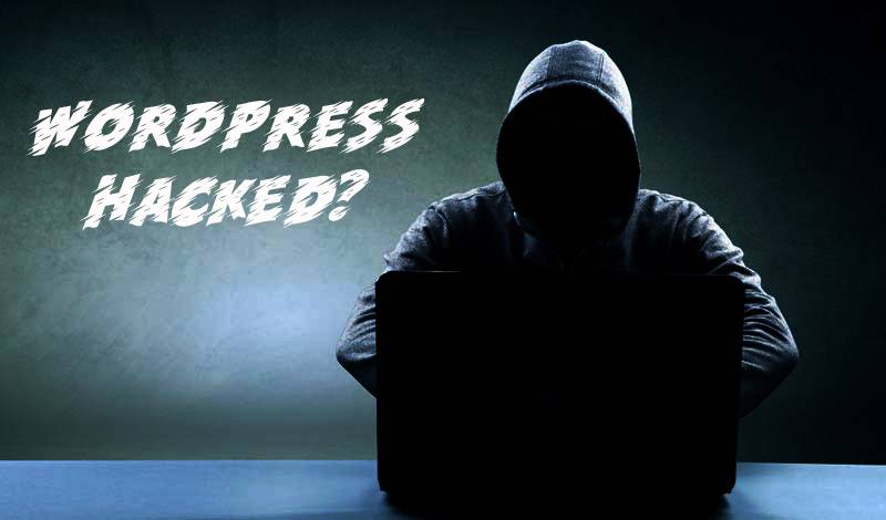 WordPress Hacked? How Net Branding Can Recover Your Site