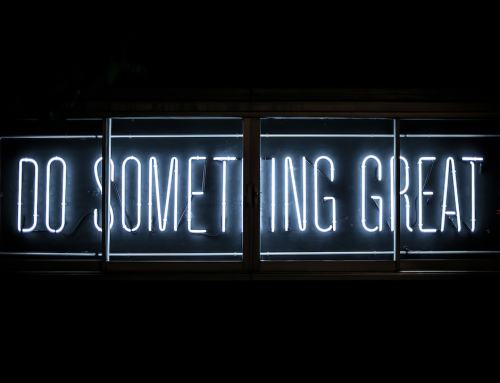 Digital Marketing Client Case Studies at Net Branding