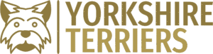 YorkshireTerriers